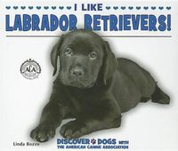 Cover image for I Like Labrador Retrievers!