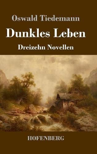 Cover image for Dunkles Leben: Dreizehn Novellen