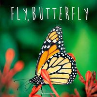 Cover image for Fly, Butterfly