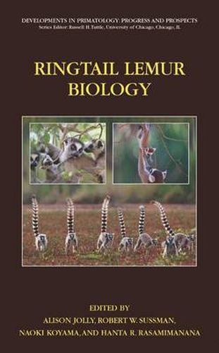 Cover image for Ringtailed Lemur Biology: Lemur catta in Madagascar