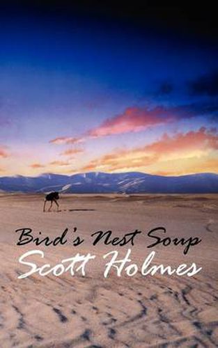 Cover image for Bird's Nest Soup