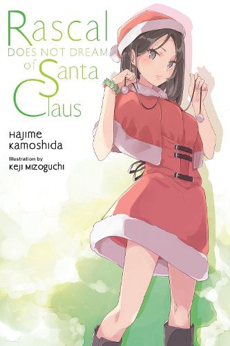 Cover image for Rascal Does Not Dream of Santa Claus (light novel)