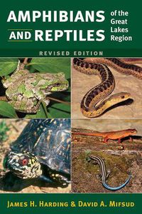 Cover image for Amphibians and Reptiles of the Great Lakes Region