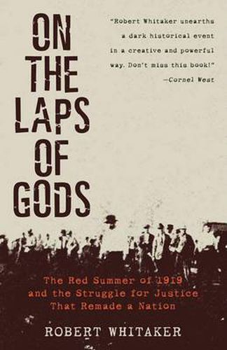 Cover image for On the Laps of Gods: The Red Summer of 1919 and the Struggle for Justice That Remade a Nation