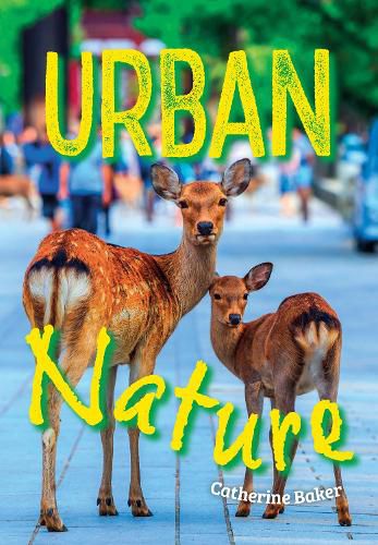 Cover image for Urban Nature
