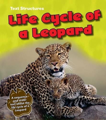 Cover image for Life Cycle of a Leopard: A Sequence and Order Text