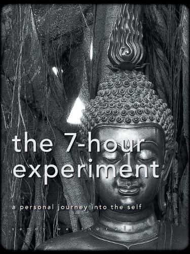 Cover image for The 7-Hour Experiment