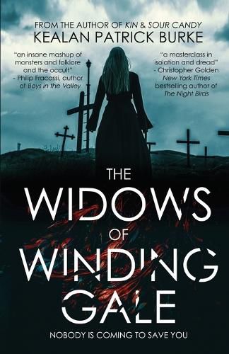 Cover image for The Widows of Winding Gale