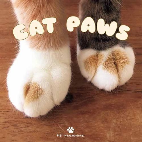 Cover image for Cat Paws