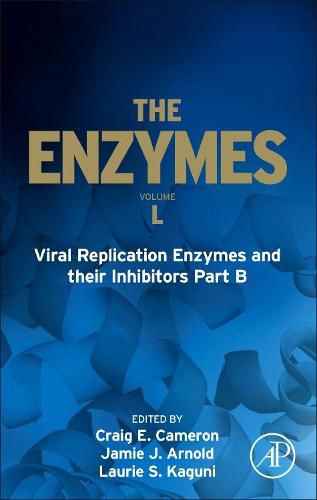 Cover image for Viral Replication Enzymes and their Inhibitors Part B