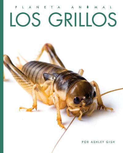 Cover image for Los Grillos