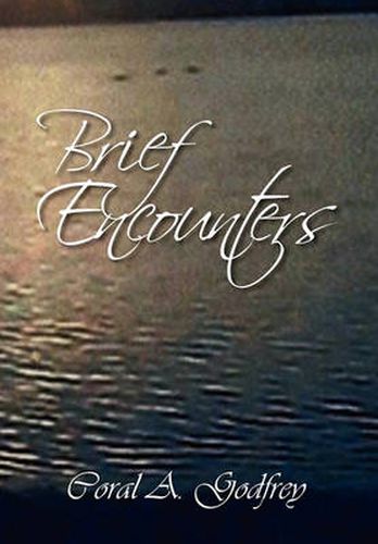 Cover image for Brief Encounters