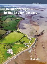 Cover image for The Bronze Age in the Severn Estuary