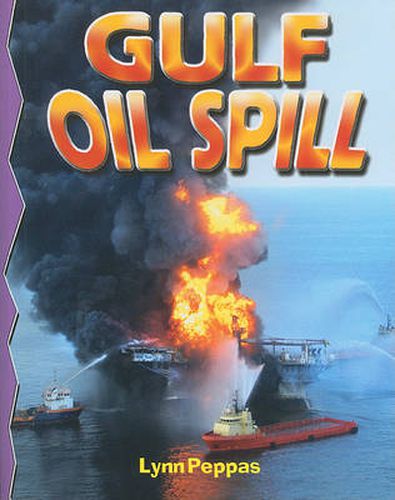 Cover image for Gulf Oil Spill