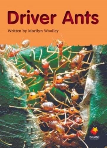 Cover image for Driver Ants