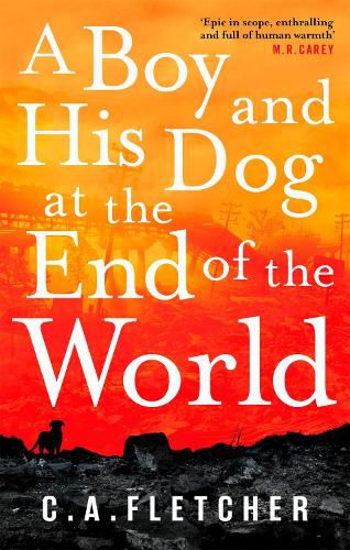 Cover image for A Boy and his Dog at the End of the World