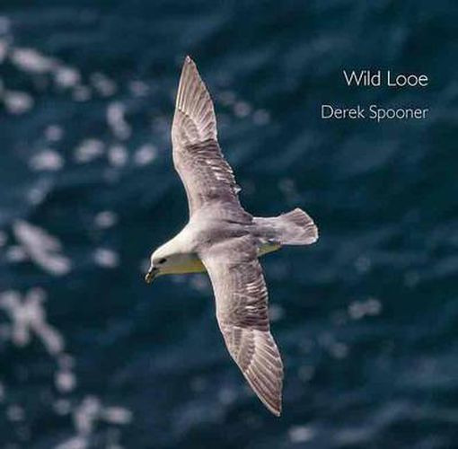 Cover image for Wild Looe