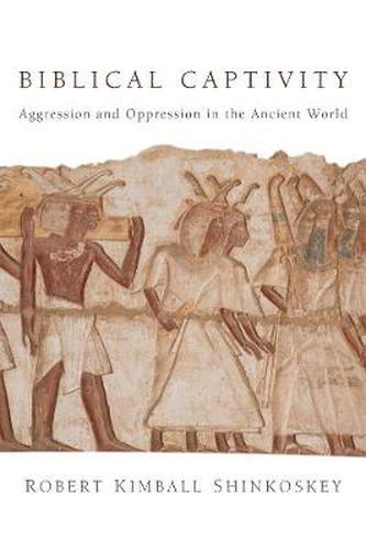 Cover image for Biblical Captivity: Aggression and Oppression in the Ancient World