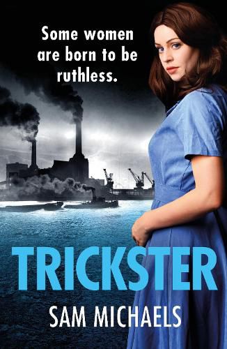 Cover image for Trickster