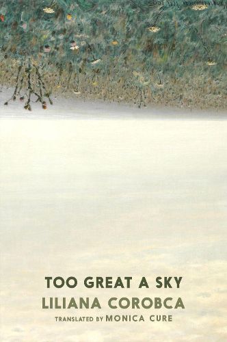 Cover image for Too Great A Sky