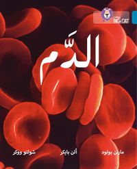 Cover image for Blood: Level 13