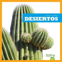 Cover image for Desiertos (Deserts)