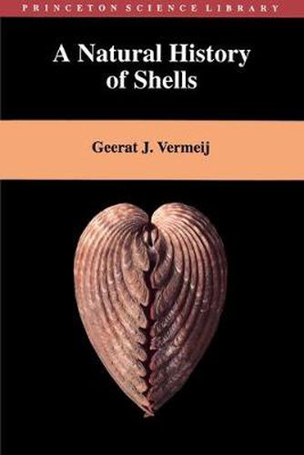 Cover image for A Natural History of Shells