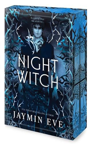 Cover image for Night Witch