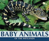 Cover image for Baby Animals of the Wetlands