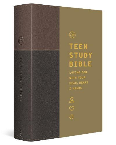Cover image for ESV Teen Study Bible
