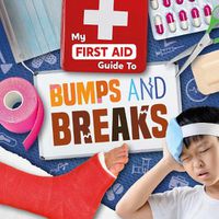 Cover image for Bumps and Breaks