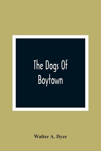 The Dogs Of Boytown