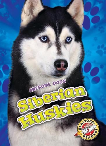 Siberian Huskies