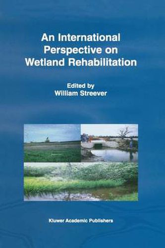 Cover image for An International Perspective on Wetland Rehabilitation