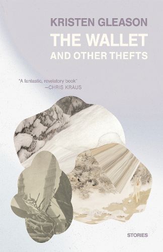 Cover image for The Wallet and Other Thefts