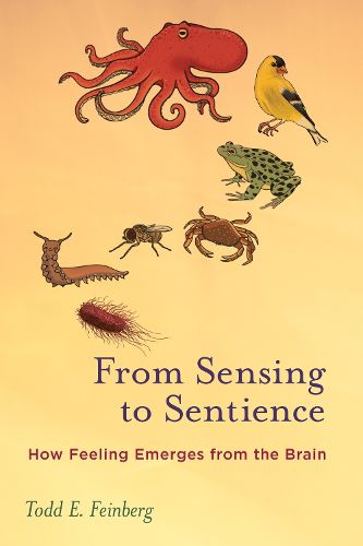 Cover image for From Sensing to Sentience