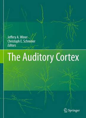 Cover image for The Auditory Cortex