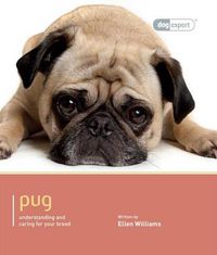 Cover image for Pug- Dog Expert