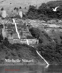 Cover image for Michelle Stuart: Drawn from Nature