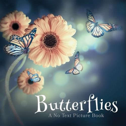 Cover image for Butterflies, A No Text Picture Book: A Calming Gift for Alzheimer Patients and Senior Citizens Living With Dementia