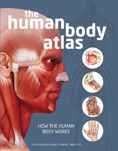 Cover image for The Human Body Atlas: How the Human Body Works