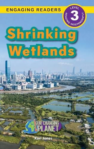 Shrinking Wetlands