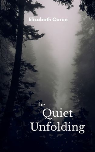 Cover image for The Quiet Unfolding