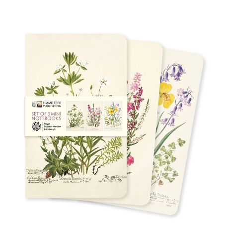 Cover image for Royal Botanic Garden Edinburgh Set of 3 Mini Notebooks