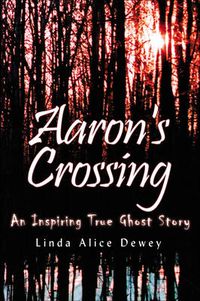 Cover image for Aaron'S Crossing: An Inspiring True Ghost Story