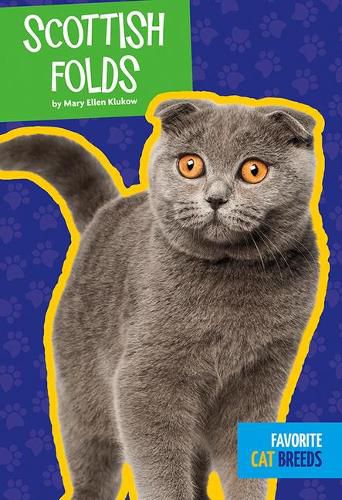 Cover image for Scottish Folds