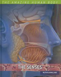 Cover image for The Senses