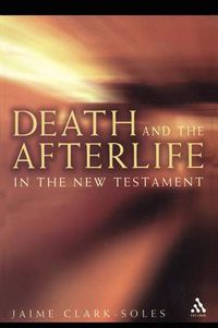 Cover image for Death and the Afterlife in the New Testament