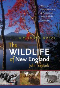 Cover image for The Wildlife of New England