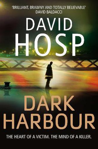 Cover image for Dark Harbour
